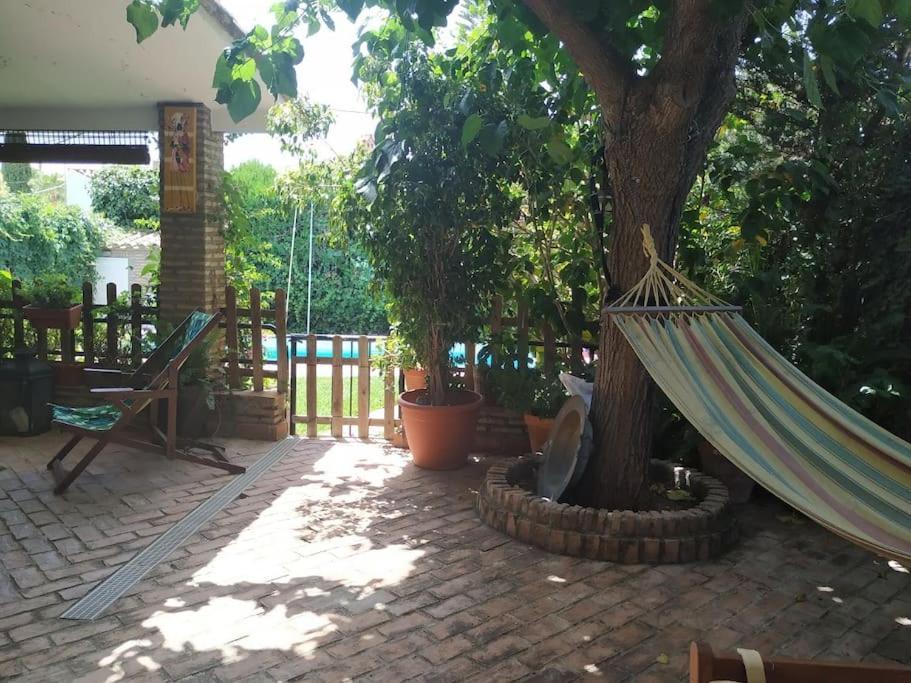 Dormir Entre Limones, Casa De Invitados En Vivienda Familiar Дос-Ерманас Екстер'єр фото